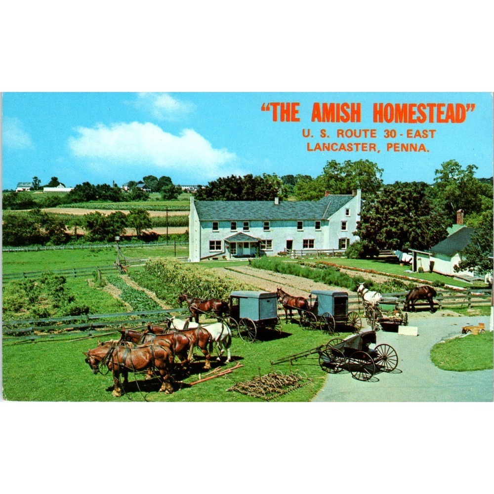 Amish Homestead Lincoln Hwy Lancaster Pennsylvania Dutch Country Postcard PD7 - Picture 1 of 2